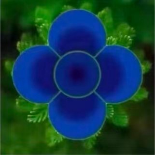 蓝莲花正念冥想-呼吸训练